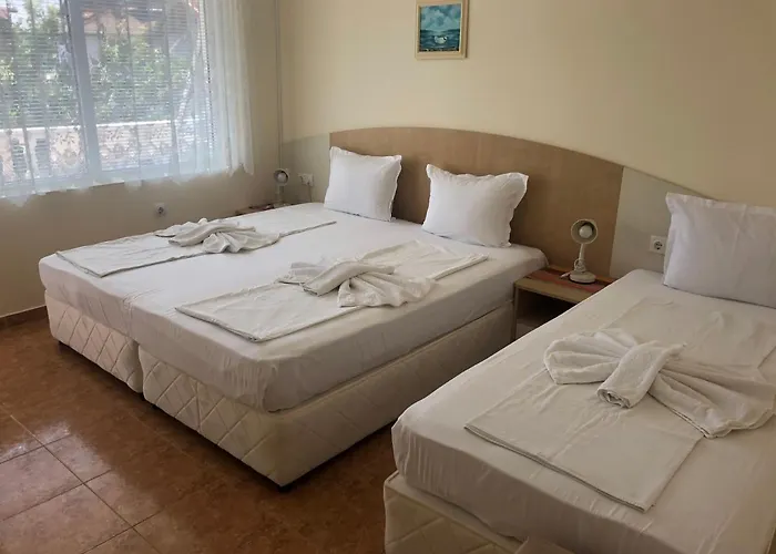 Borko بريمورسكو