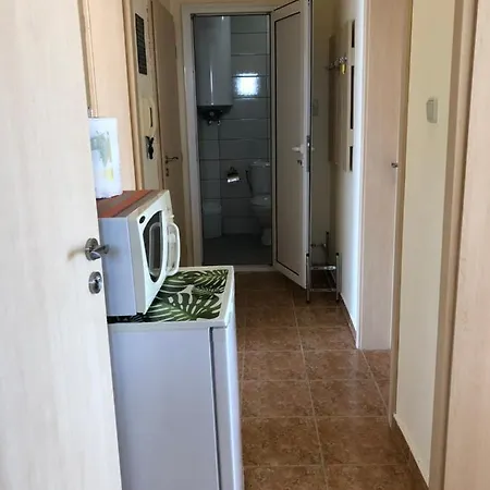 Borko Guest house Primorsko