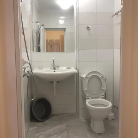 Casa de hóspedes Borko 2*